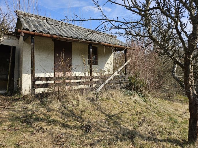 Prodej, Zahrada, Šternberk