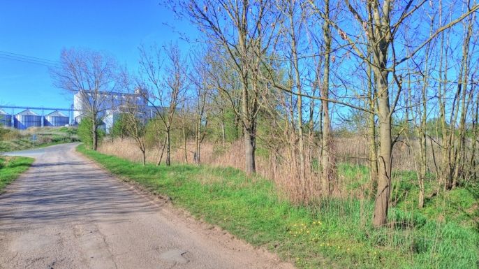 Prodej, Komerční pozemky, Smiřice