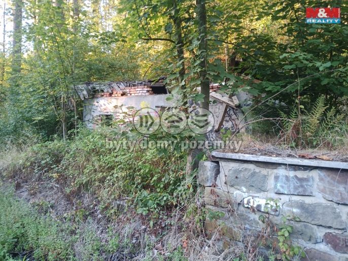 Prodej, Chata, Vítkov