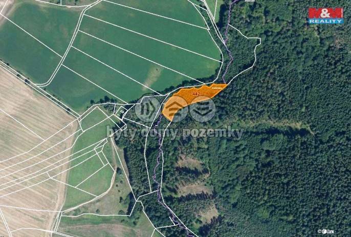 Prodej, Les, Borotice