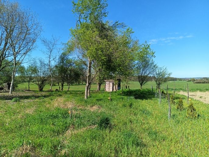 Pronájem, Zahrada, Sezemice