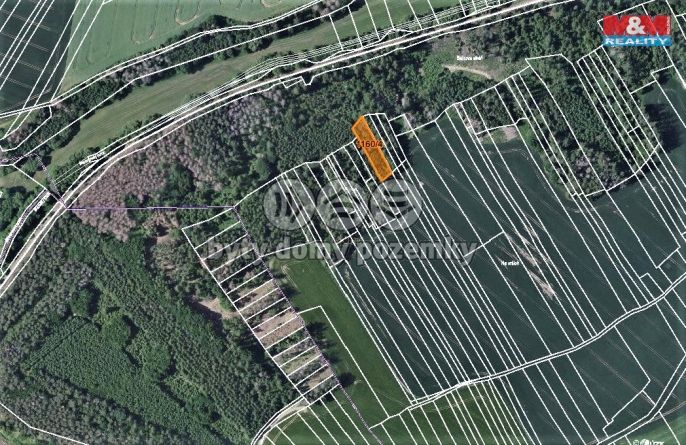 Prodej, Les, Trhový Štěpánov