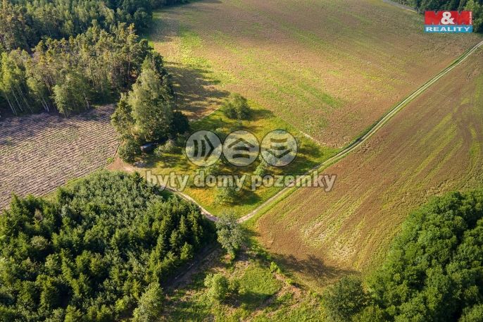 Prodej, Ovocný sad, Morašice