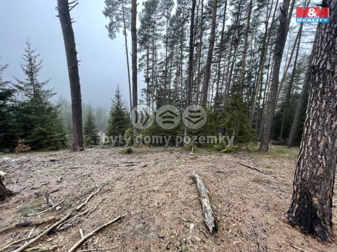 Prodej, Les, Pecka