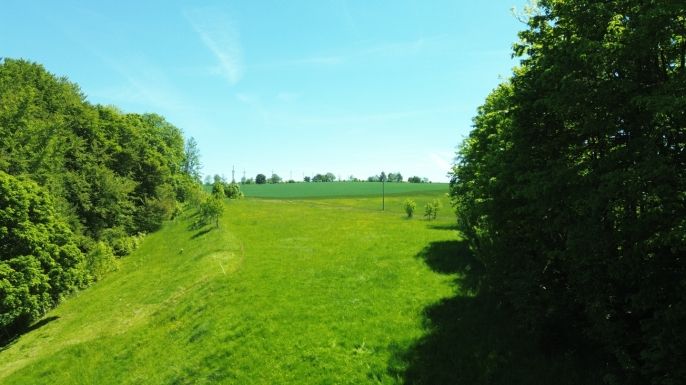 Prodej, Zemědělská usedlost, Suchý Důl