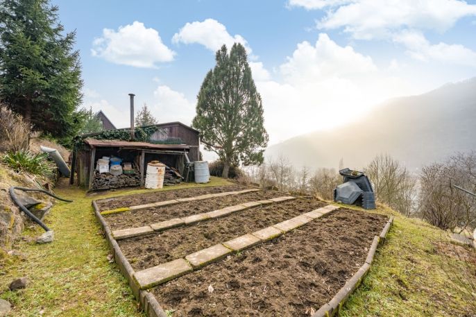 Prodej, Zahrada, Ústí nad Labem