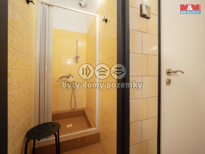 Prodej, Hotel, penzion, Želízy