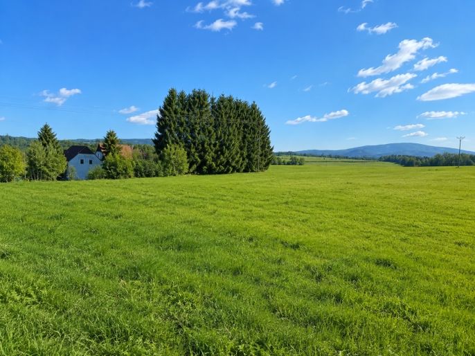 Prodej, Pozemek k bydlení, Krásný Les