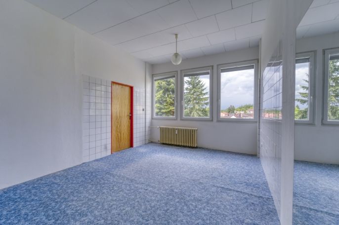 Pronájem, Obchod a služby, Nepomuk