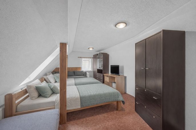 Prodej, Hotel, penzion, Rudník