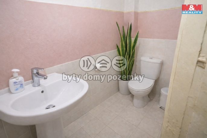 Prodej, Rodinný dům, Nová Ves u Chotěboře