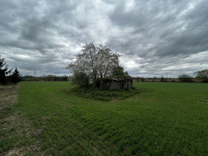 Prodej, Ostatní, Opava