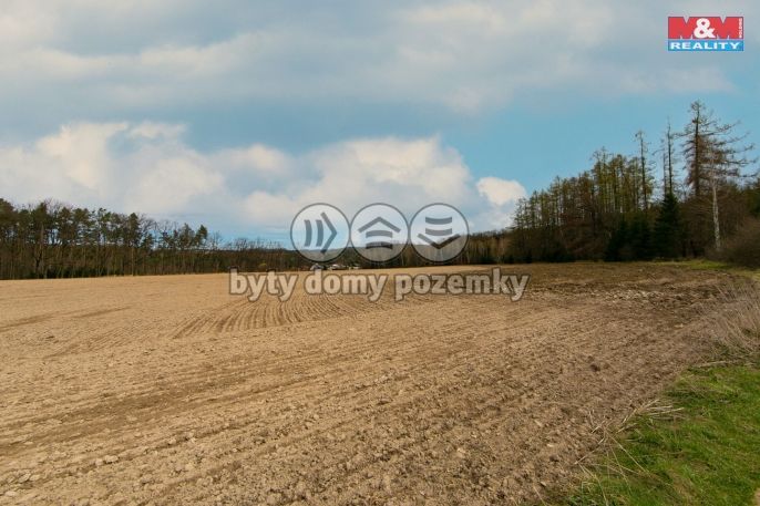 Prodej, Pole, Předenice