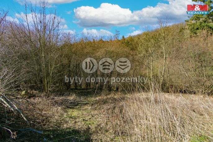 Prodej, Ostatní, Jílové u Prahy