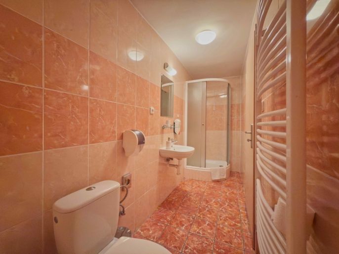 Prodej, Hotel, penzion, Karviná