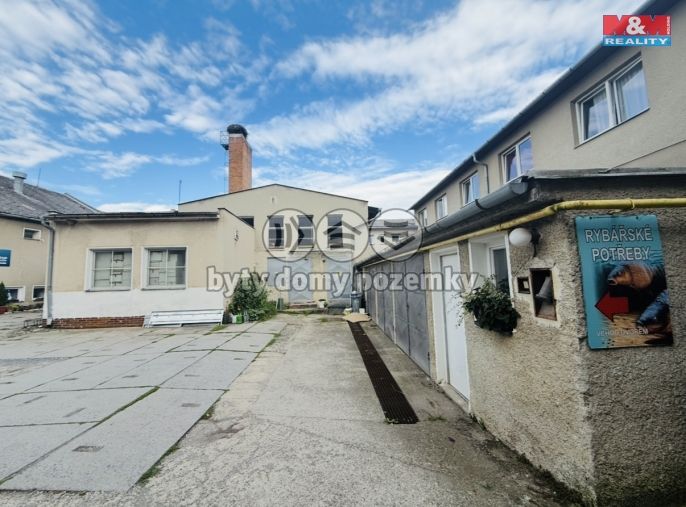 Prodej, Hotel, penzion, Loštice