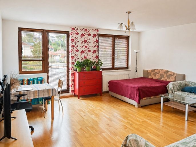 Pronájem, Byt 1+kk, Praha