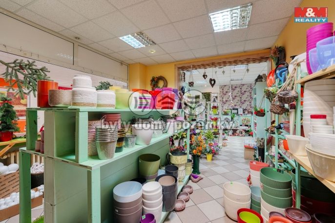 Pronájem, Obchod a služby, Třemošná