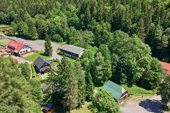 Prodej, Hotel, penzion, Zdobnice