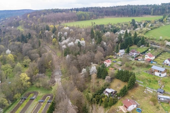 Prodej, Zahrada, Plasy