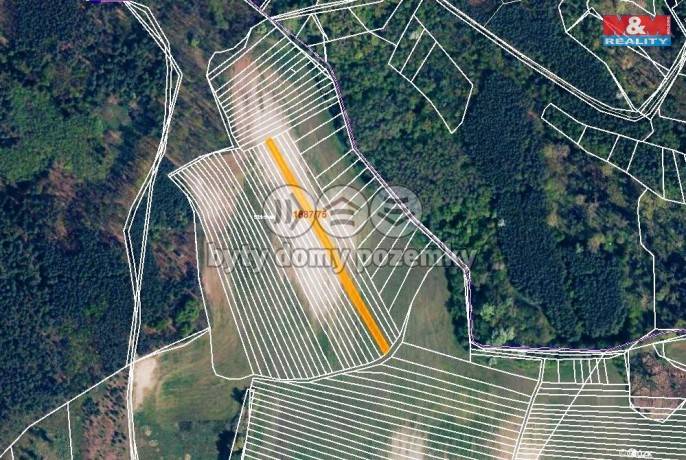 Prodej, Pole, Vacenovice