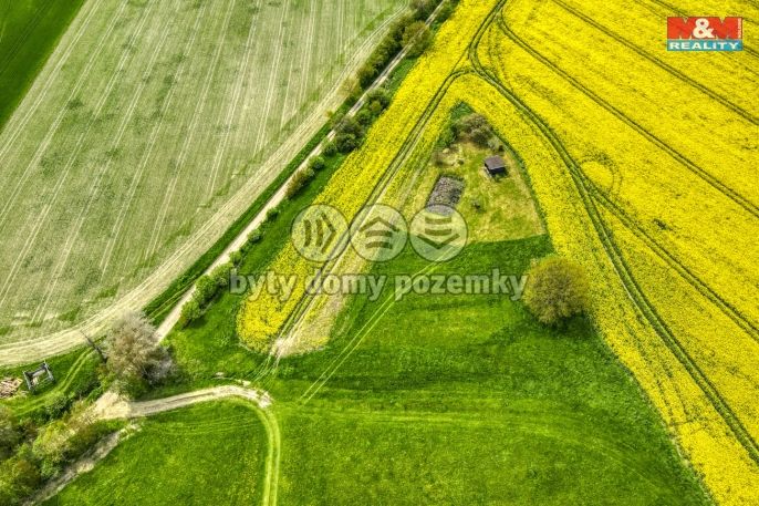 Prodej, Pole, Ostrov u Bezdružic