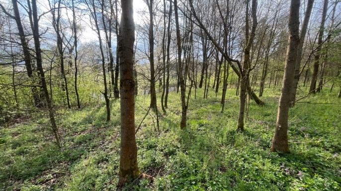 Prodej, Pole, Písek