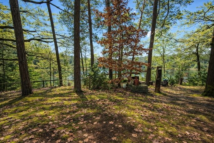 Prodej, Pozemek k bydlení, Loučeň