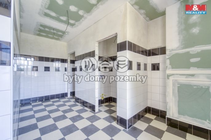 Prodej, Hotel, penzion, Červené Poříčí