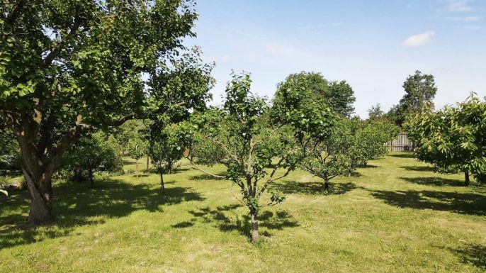 Prodej, Pozemek k bydlení, Rokytnice