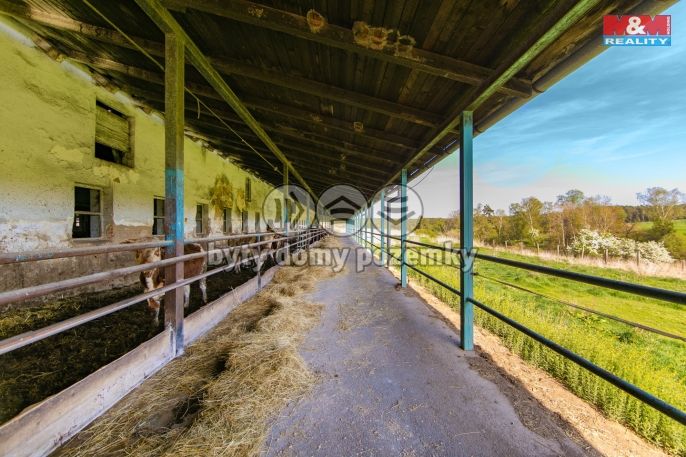 Prodej, Zemědělský objekt, Černovice