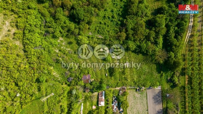 Prodej, Zahrada, Štětí