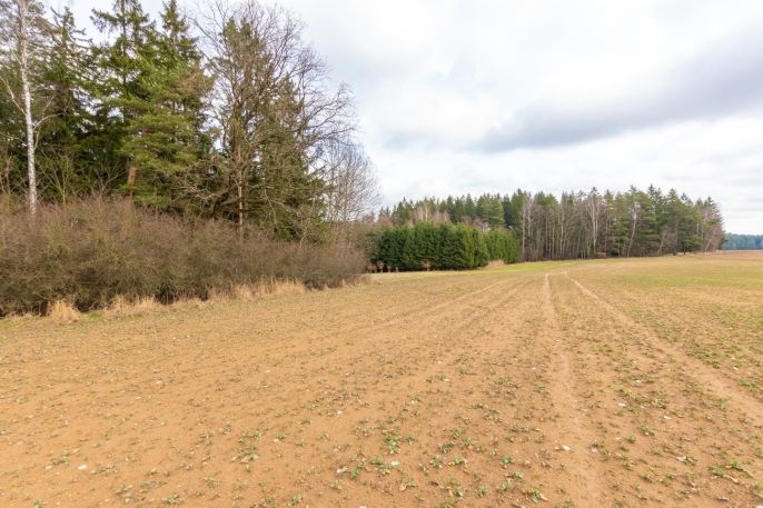 Prodej, Pole, Vysočina