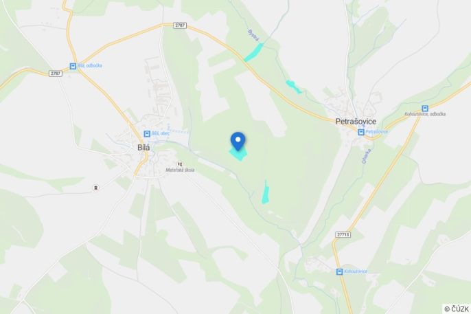 Prodej, Les, Bílá