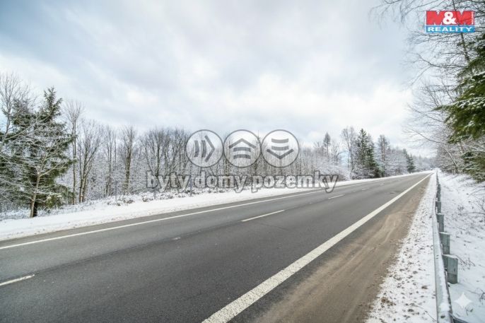 Prodej, Komerční pozemky, Gruna