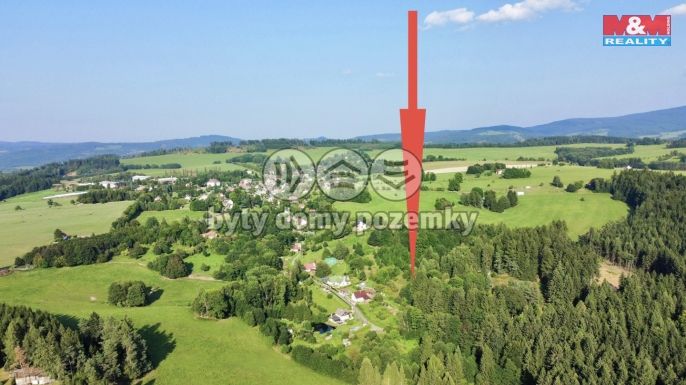 Prodej, Zahrada, Borová