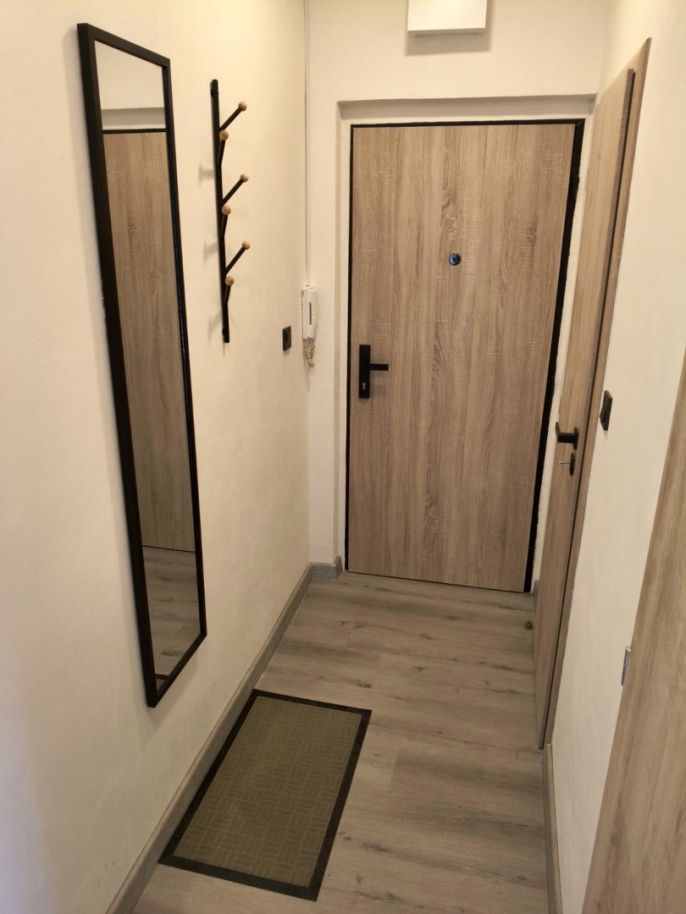 Pronájem, Byt 1+kk, Olomouc