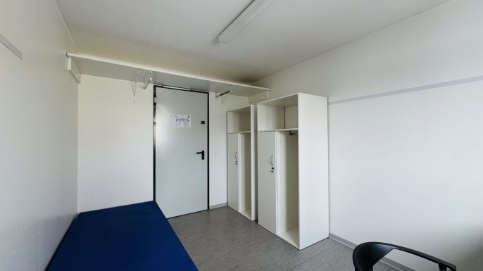 Prodej, Ostatní, Planá