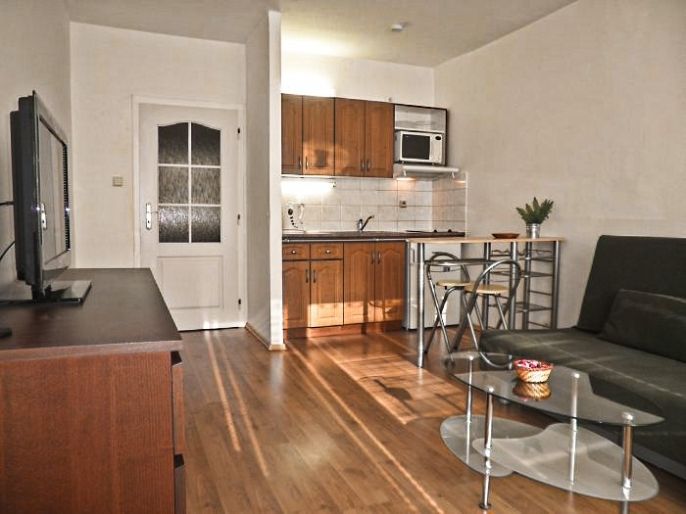 Pronájem, Byt 1+kk, Ostrava