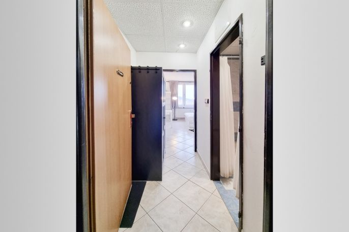 Pronájem, Byt 1+kk, Karlovy Vary