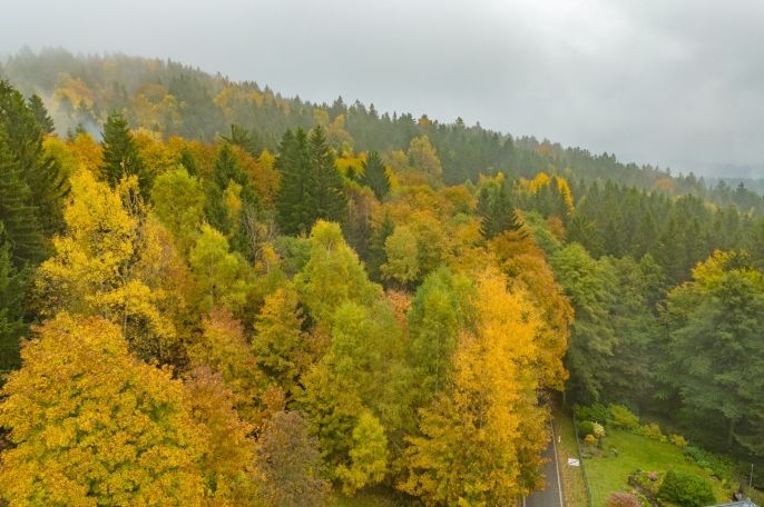 Prodej, Ostatní, Nová Ves nad Nisou