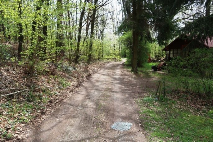 Prodej, Chata, Svojšice