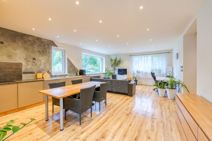 Pronájem, Rodinný dům, Nečtiny