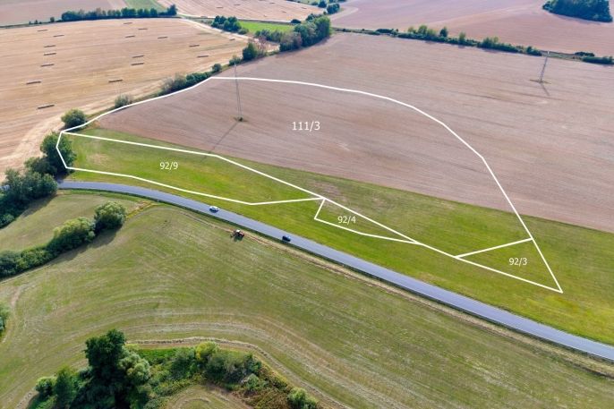 Prodej, Pole, Hostouň