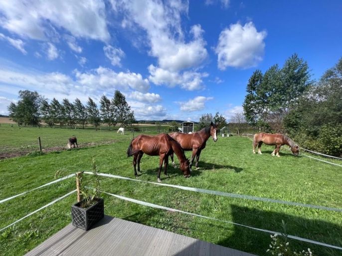 Pronájem, Byt 2+kk, Borovany