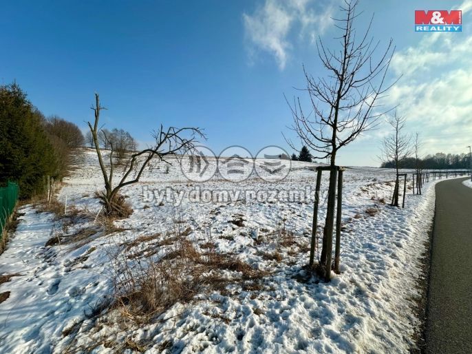 Prodej, Louka, Česká Třebová