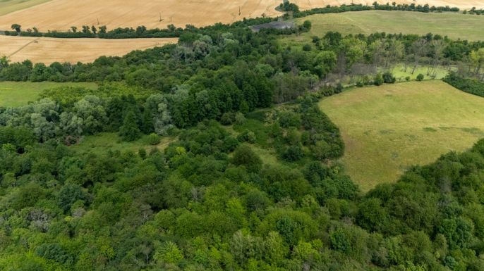 Prodej, Louka, Chabařovice