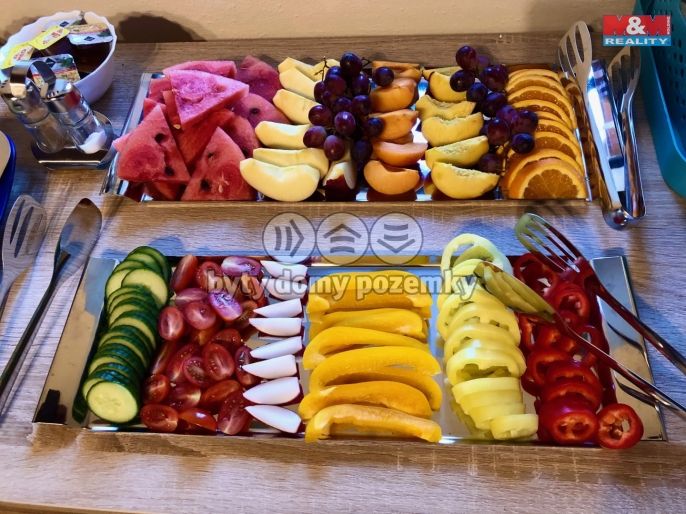 Prodej, Hotel, penzion, Česká Skalice