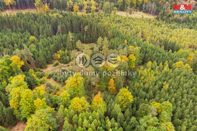 Prodej, Les, Černíkov