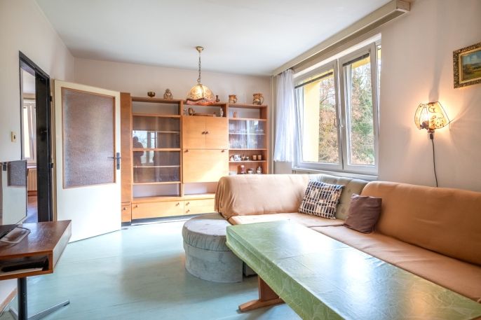 Prodej, Byt 3+1, Písek